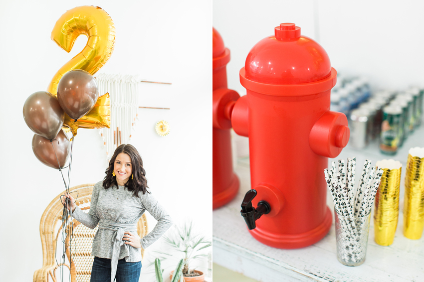 A Puppy Themed 2nd Birthday For Lachlan Rue Rhiannon Bosse